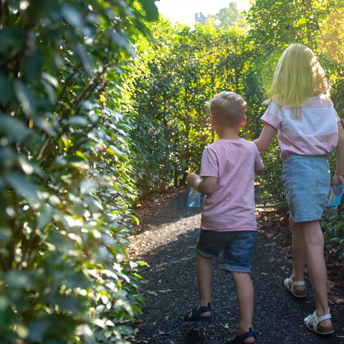 HH Maze - children exploring