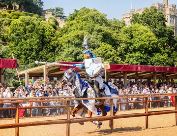 Wars Of The Roses Joust
