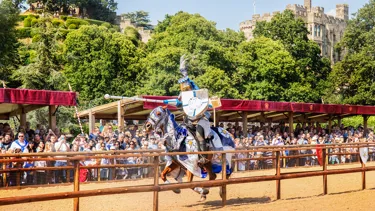 Wars Of The Roses Joust