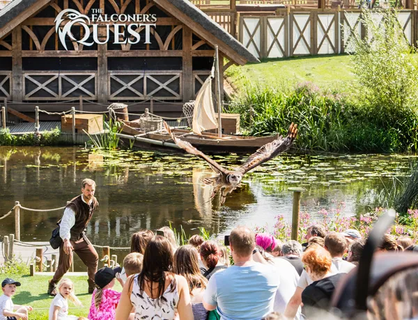 Falconer's Quest