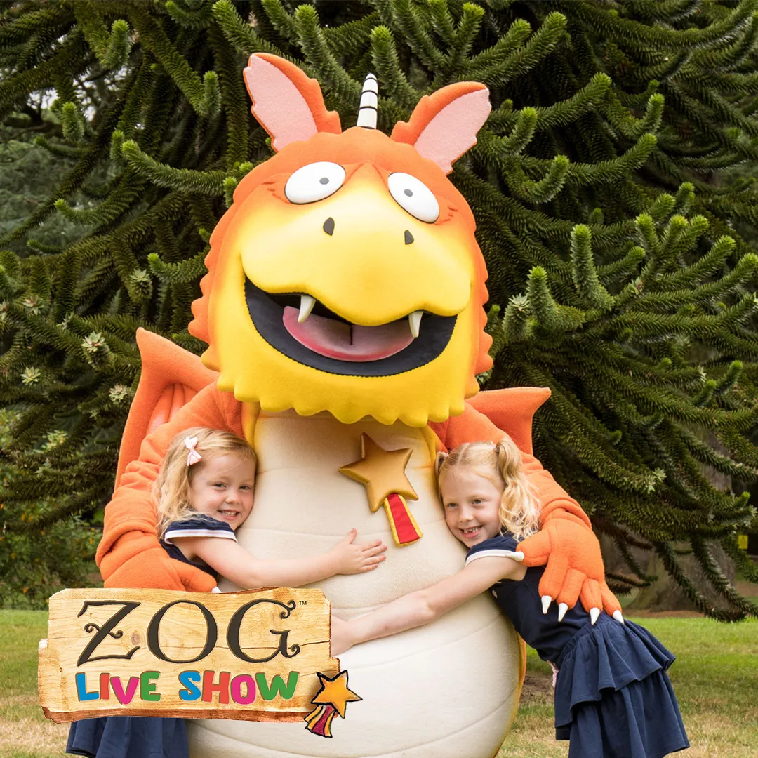 Zog Live Show