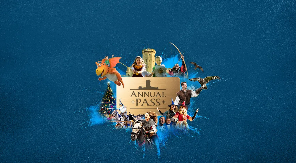WAP Ticket Image