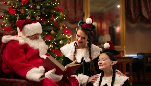 Santa 29
