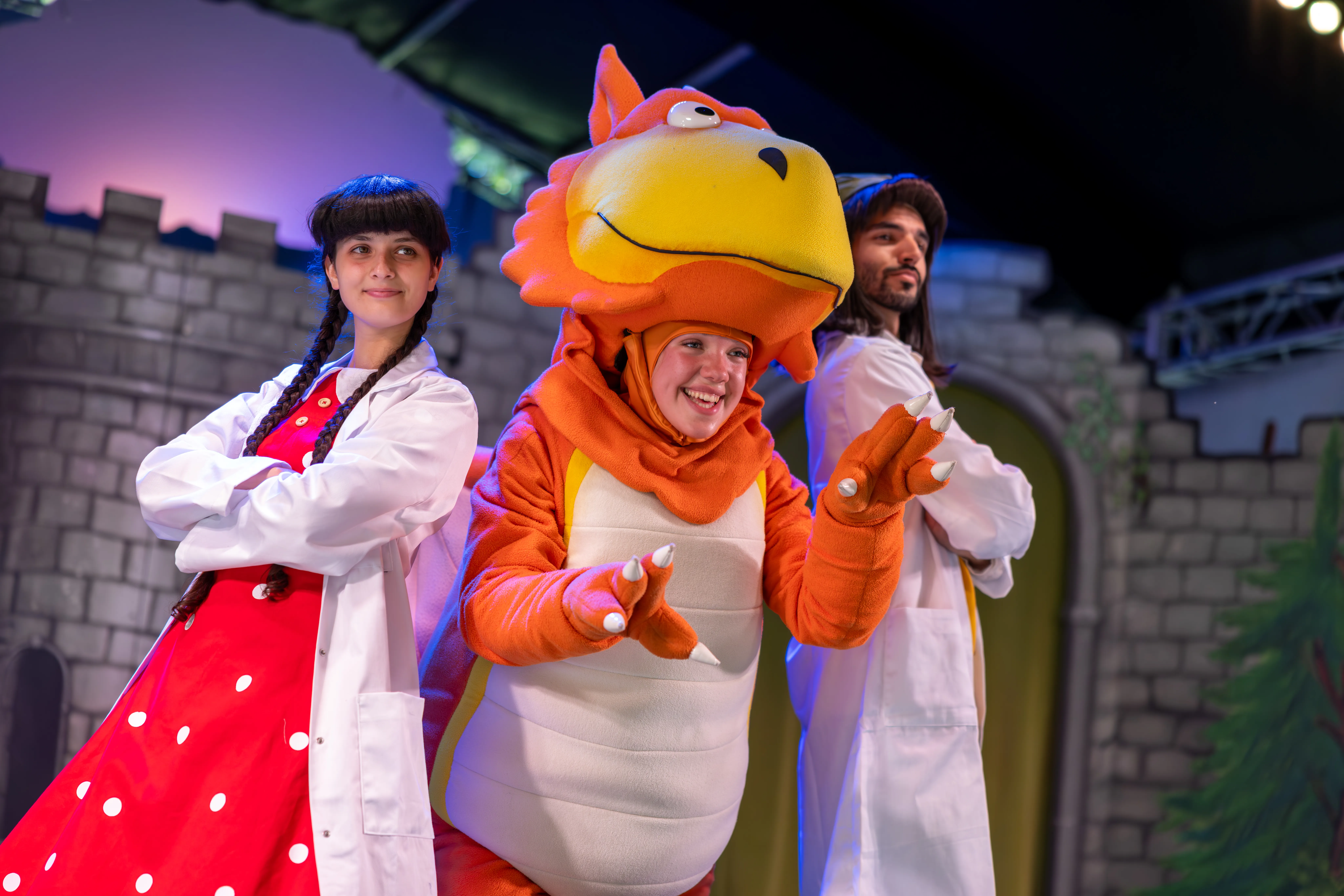 Zog and the Flying Doctors Live Show