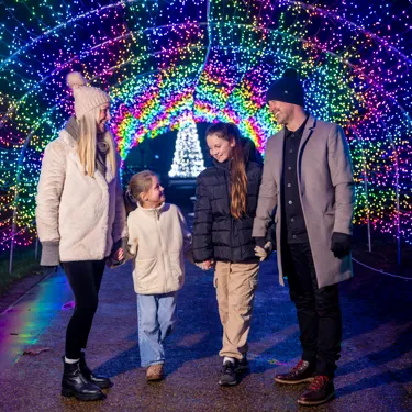 290A4354 Enhanced NR