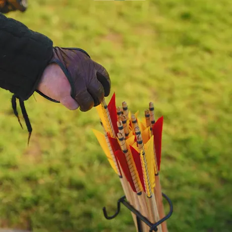 Festival of archery - arrows