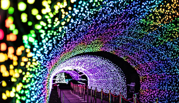 Light Trail 6