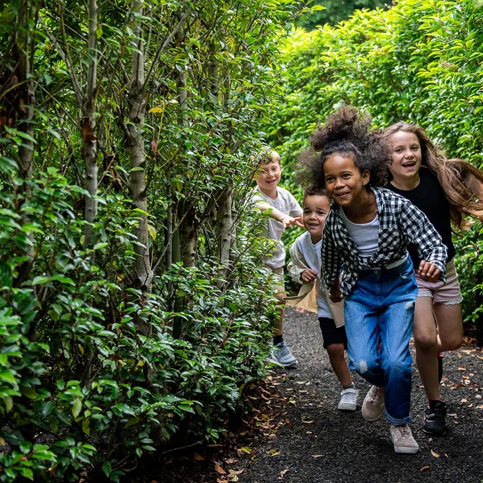 HH Maze - children racing