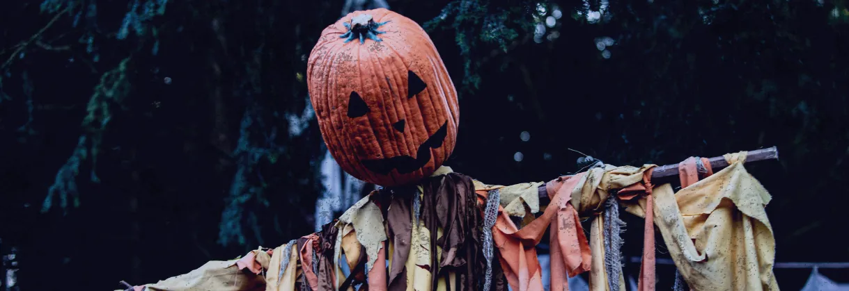 Web Header Halloween