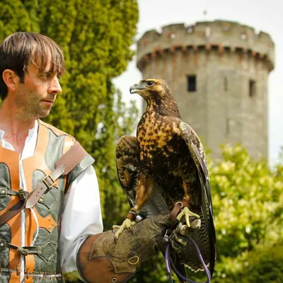 Bird Sat Outside Tower On Arm
