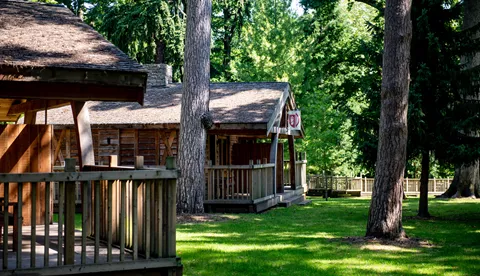 Lodges in the forest