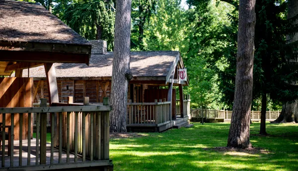 Lodges in the forest