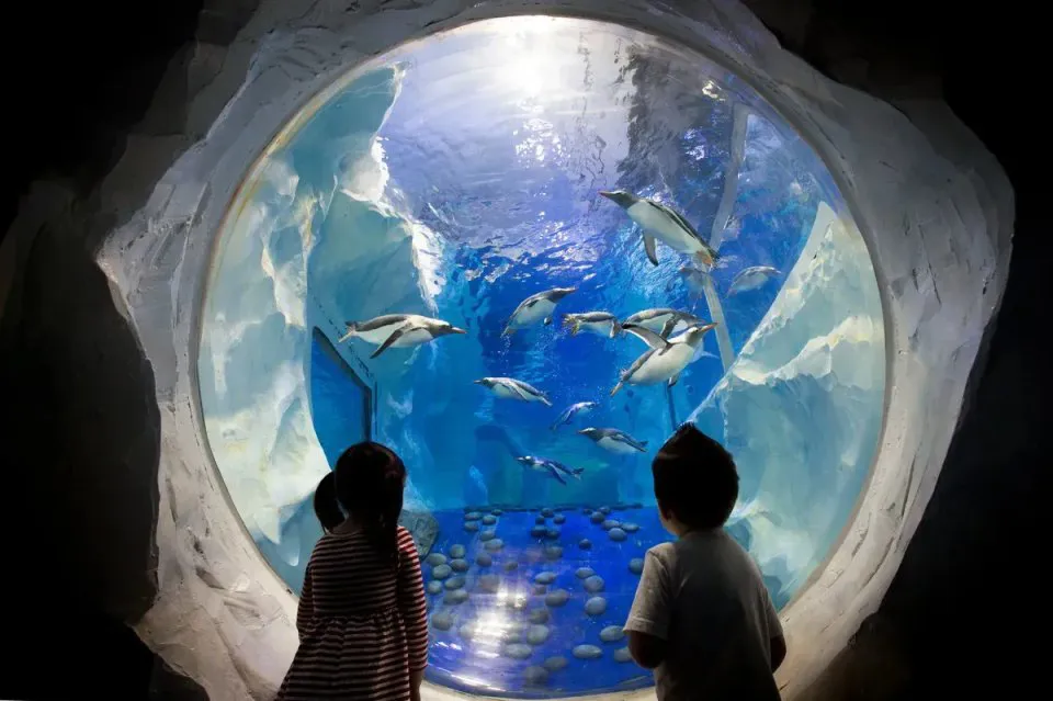 Kids W Penguins Sea Life Birmingham
