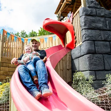 Dad and child on slide