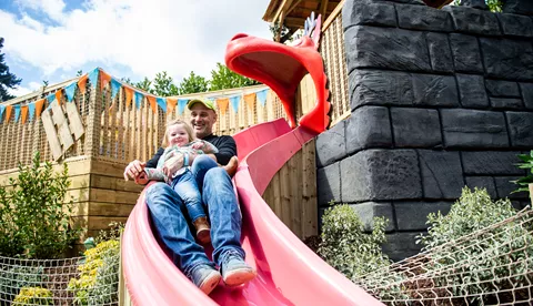 Dad and child on slide