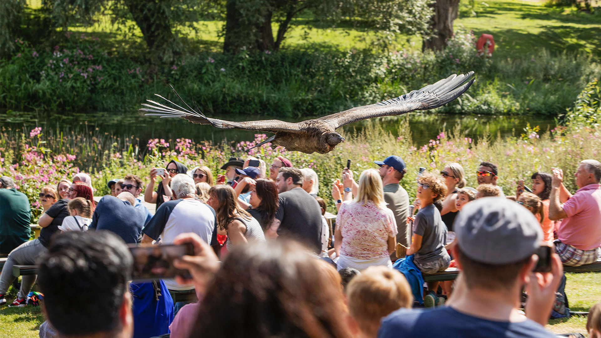 shows-entertainment-warwick-castle