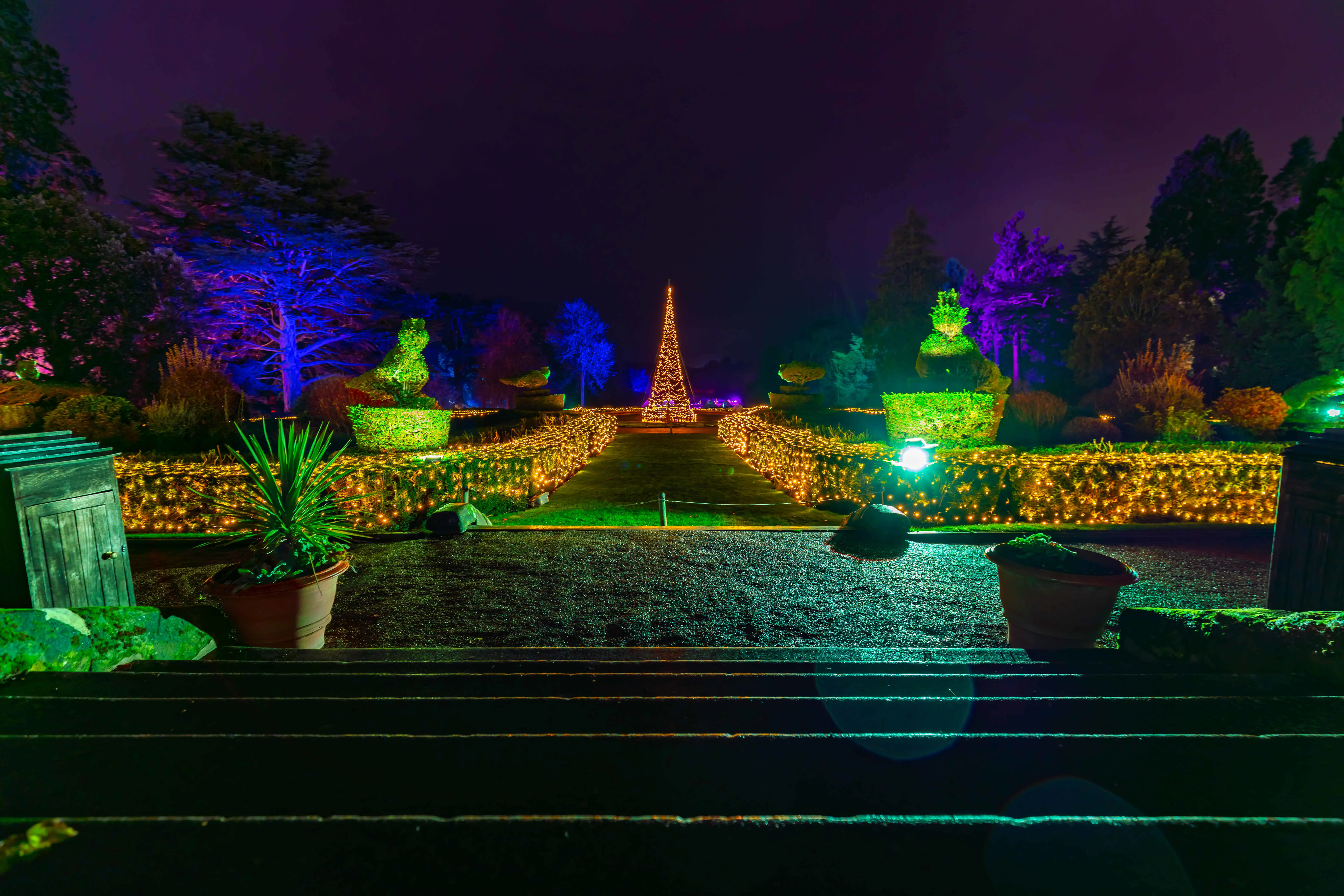 Light Trail Ticket Image