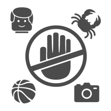 Amended Activities