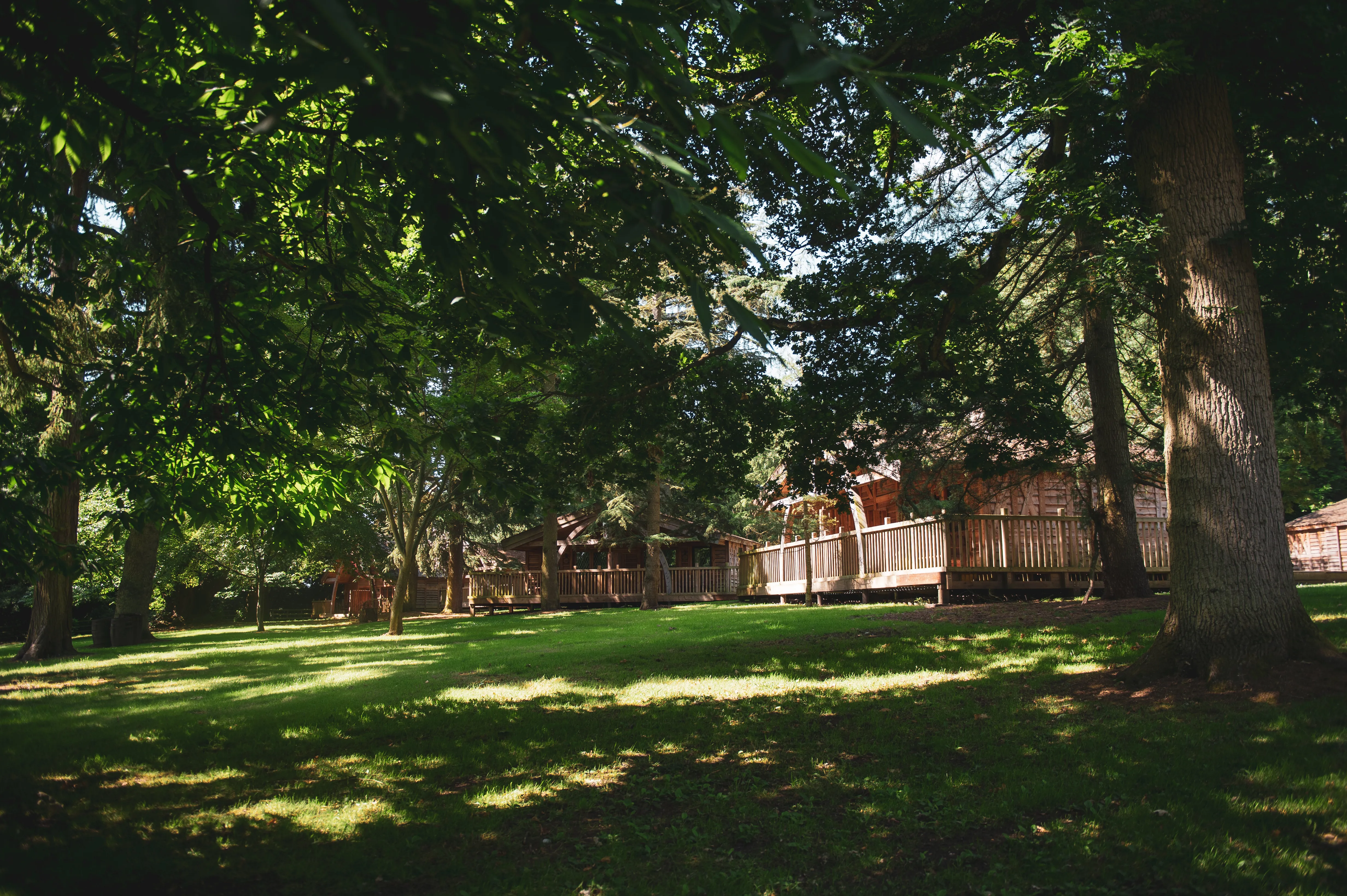 KV Woodland