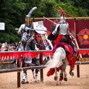 WORL jousting square