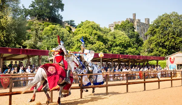 Wars Of The Roses Jousting (1)