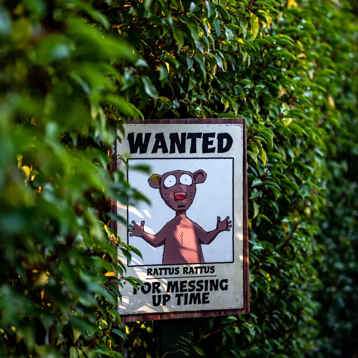 HH Maze Rattus Rattus sign