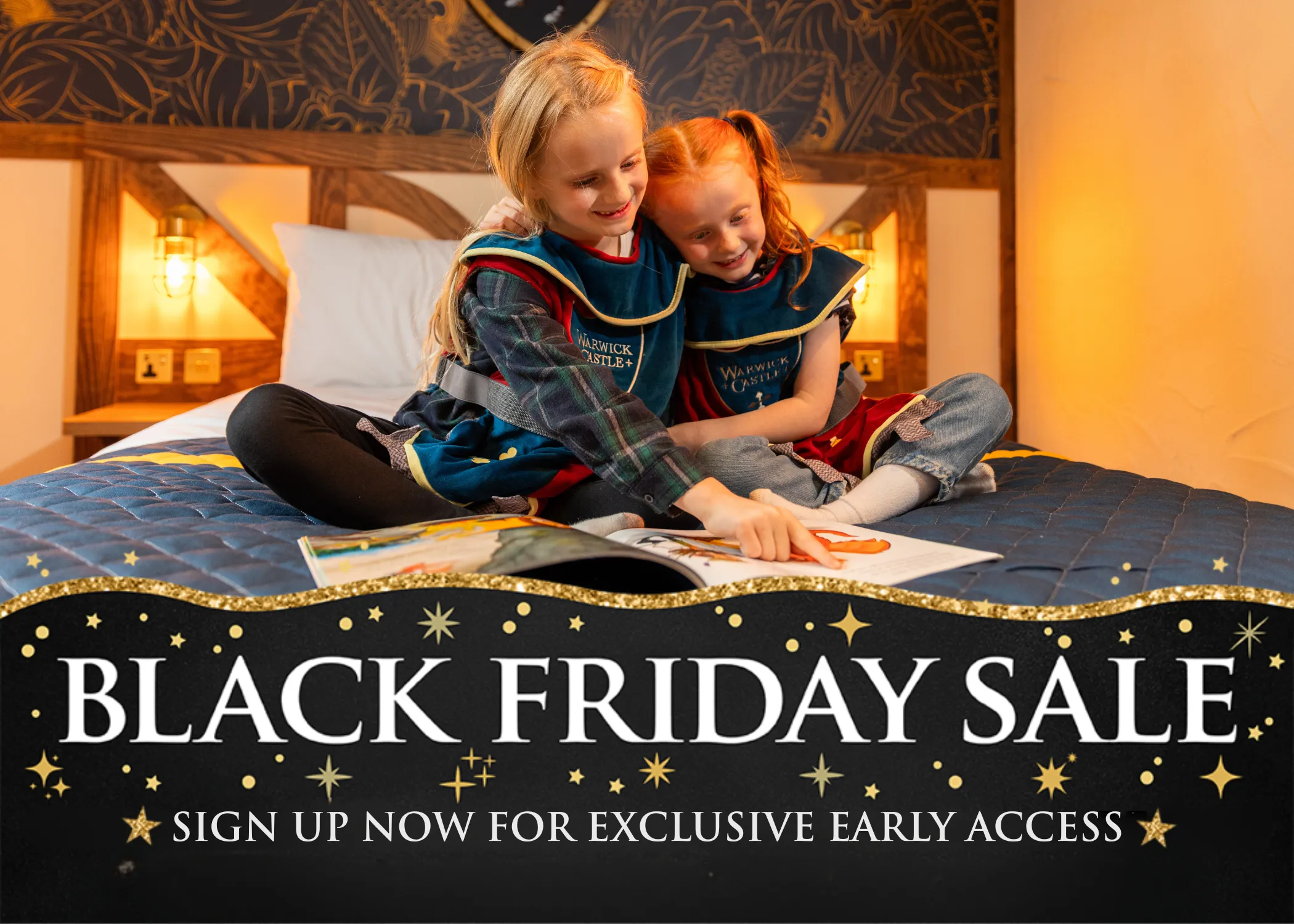 Black Friday Sale 