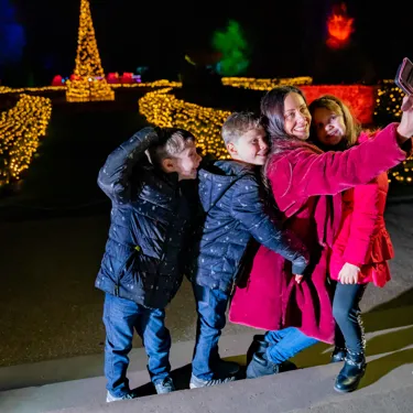 Light Trail Gallery2